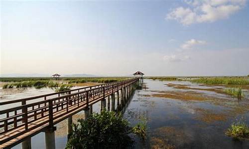 崇明岛森林公园门票价格_崇明岛旅游攻略景