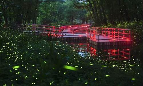 萤火虫 门票_萤火虫公园赏萤季致辞