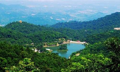 广州帽峰山森林公园门票,广州帽峰山森林公园门票多少钱