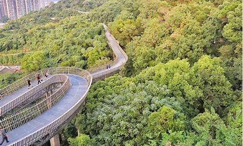 福州金牛山公园的牛在哪里_福州金牛山公园栈道