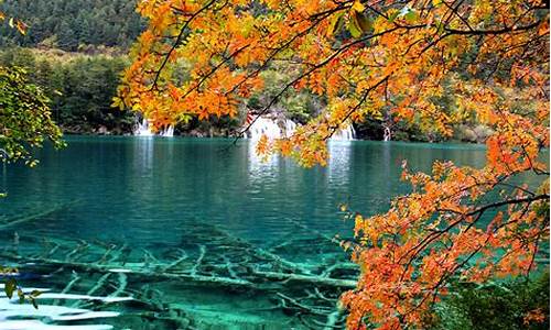 四川景点九寨沟_四川景点九寨沟美景