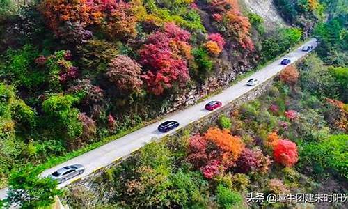 翠华山旅游攻略一日游公交,翠华山旅游攻略一日游