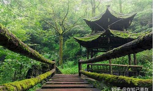 青城山都江堰风景名胜区,青城山都江堰旅游