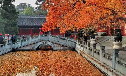 北京香山公园官网门票预约,北京香山公园旅游攻略