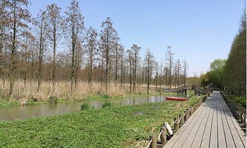 青溪郊野公园攻略,青溪旅游景点