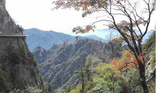 神农架旅游景点攻略一日游路线,神农架旅游景点攻略一日游