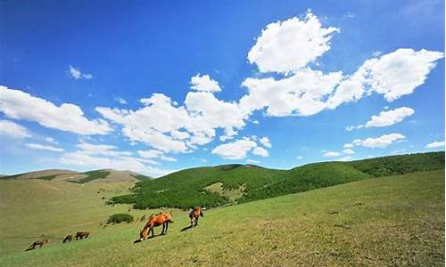 丰宁坝上草原旅游攻略去坝上草原怎么玩,丰宁坝上草原怎么玩比较