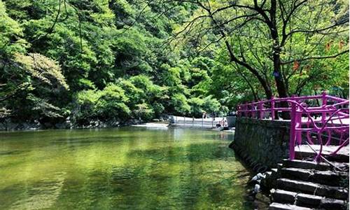 太平森林公园在哪_太平森林公园在哪一块