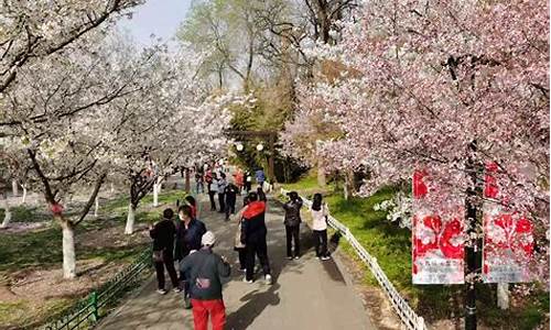 玉渊潭公园樱花五一还开吗_玉渊潭公园樱花节门票价格