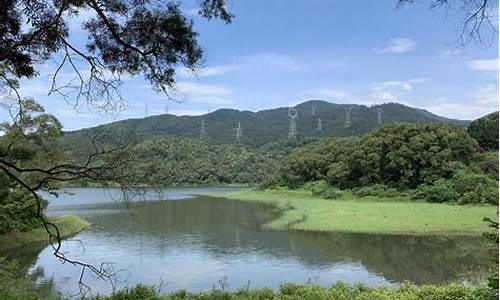 厦门天竺山森林公园缆车_宜昌余海波