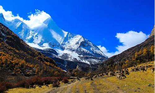 7月稻城亚丁旅游攻略,亚丁稻城7月美景