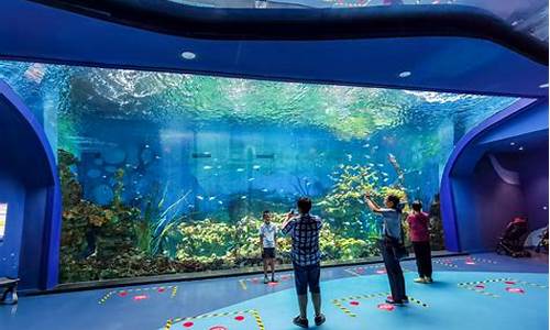郑州海昌海洋公园最新进展_郑州海昌海洋公园门票多少钱