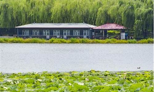 顺义新城滨河森林公园东郊湿地公园,顺义滨河森林公园地址门口图片