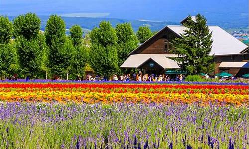 北海道春节旅游攻略一日游_北海道春节旅游攻略