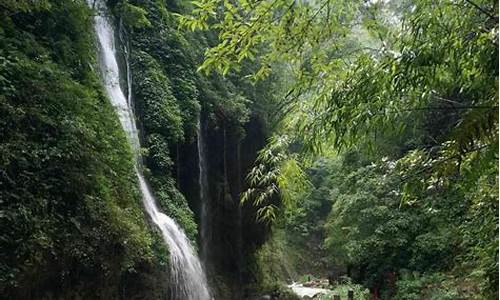 重庆旅游景点黑山谷_重庆旅游景点黑山谷有哪些