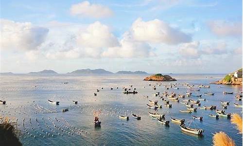 杭州到枸杞岛旅游攻略一日游_杭州到枸杞岛旅游攻略