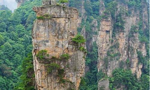 张家界旅游攻略带孩子自由行路线_张家界旅游攻略带孩子自由行路