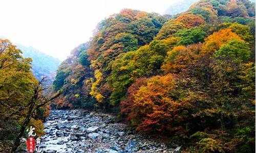 巴中光雾山旅游攻略门票多少钱,巴中光雾山简介