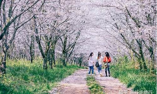 春季旅游景点推荐文案,推荐旅游景点的文案