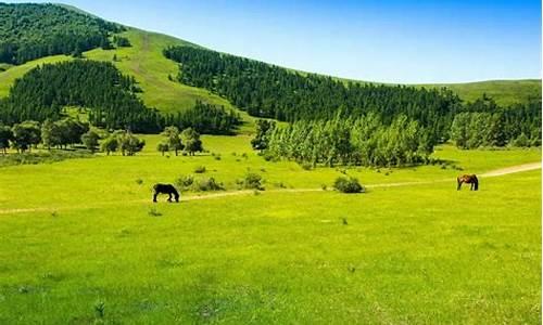 木兰围场旅游攻略必玩的景点有哪些,木兰围场旅游攻略必玩的景点