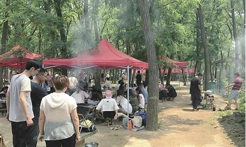 森林公园bbq,森林公园烧烤一日游攻略