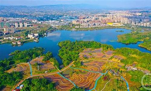 重庆湿地公园管理,目前重庆市共建有几个市级湿地公园