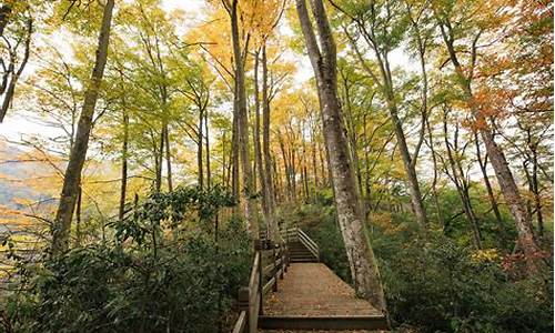 光雾山旅游攻略自驾游,光雾山风景区攻略