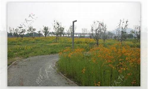 漳州郊野公园在哪里-漳州市郊野公园