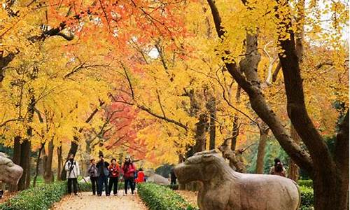 南京秋季旅游攻略景点必去-南京秋季旅游攻略两天一夜亲子游