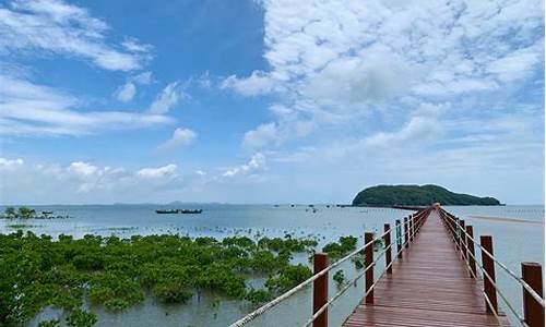 阳江海陵岛海滩-阳江海陵岛旅游攻略赶海时间